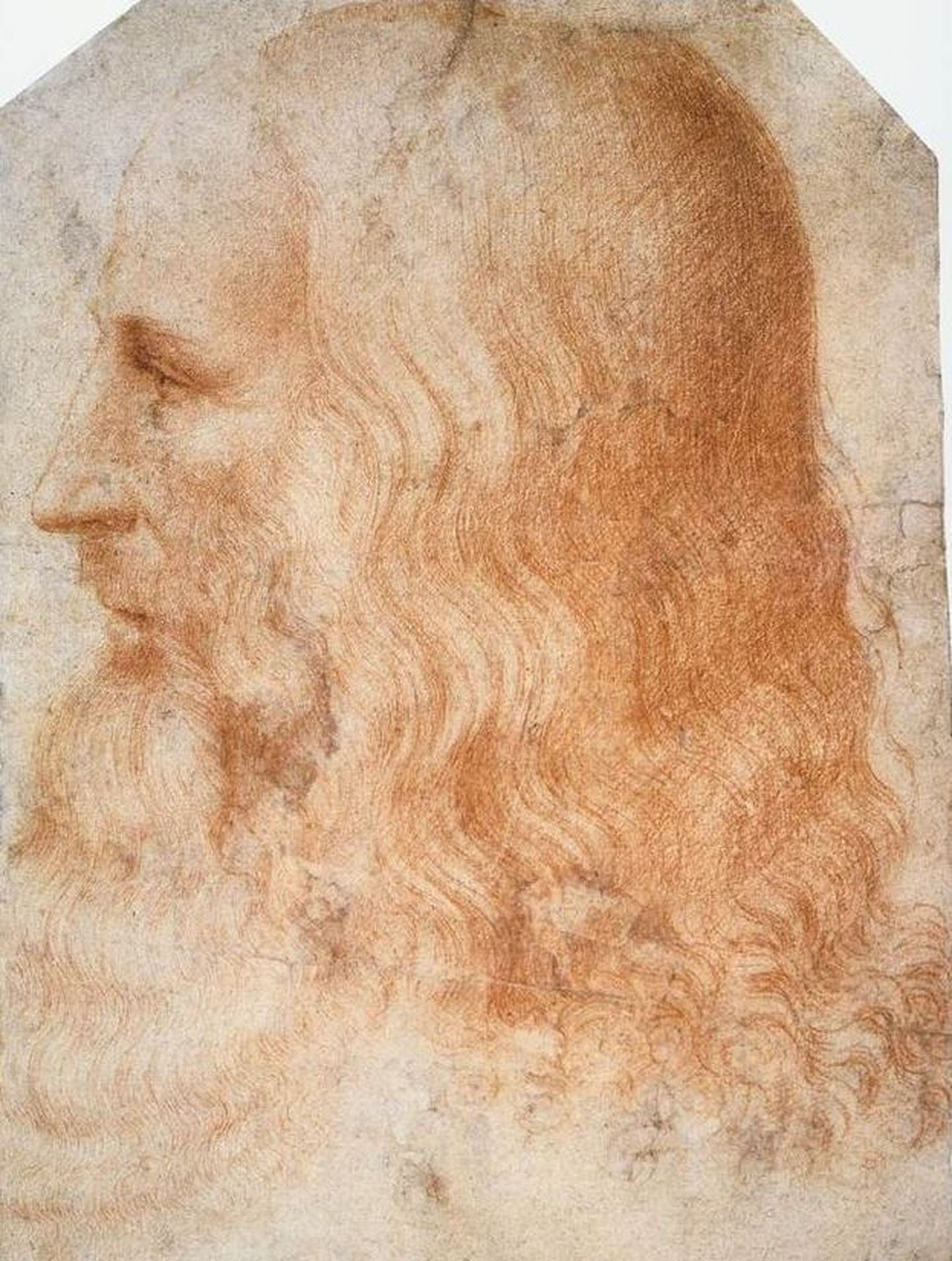 Inimkultuur 600 eKr – 2012 pKr viie minutiga. Leonardo da Vinci portree