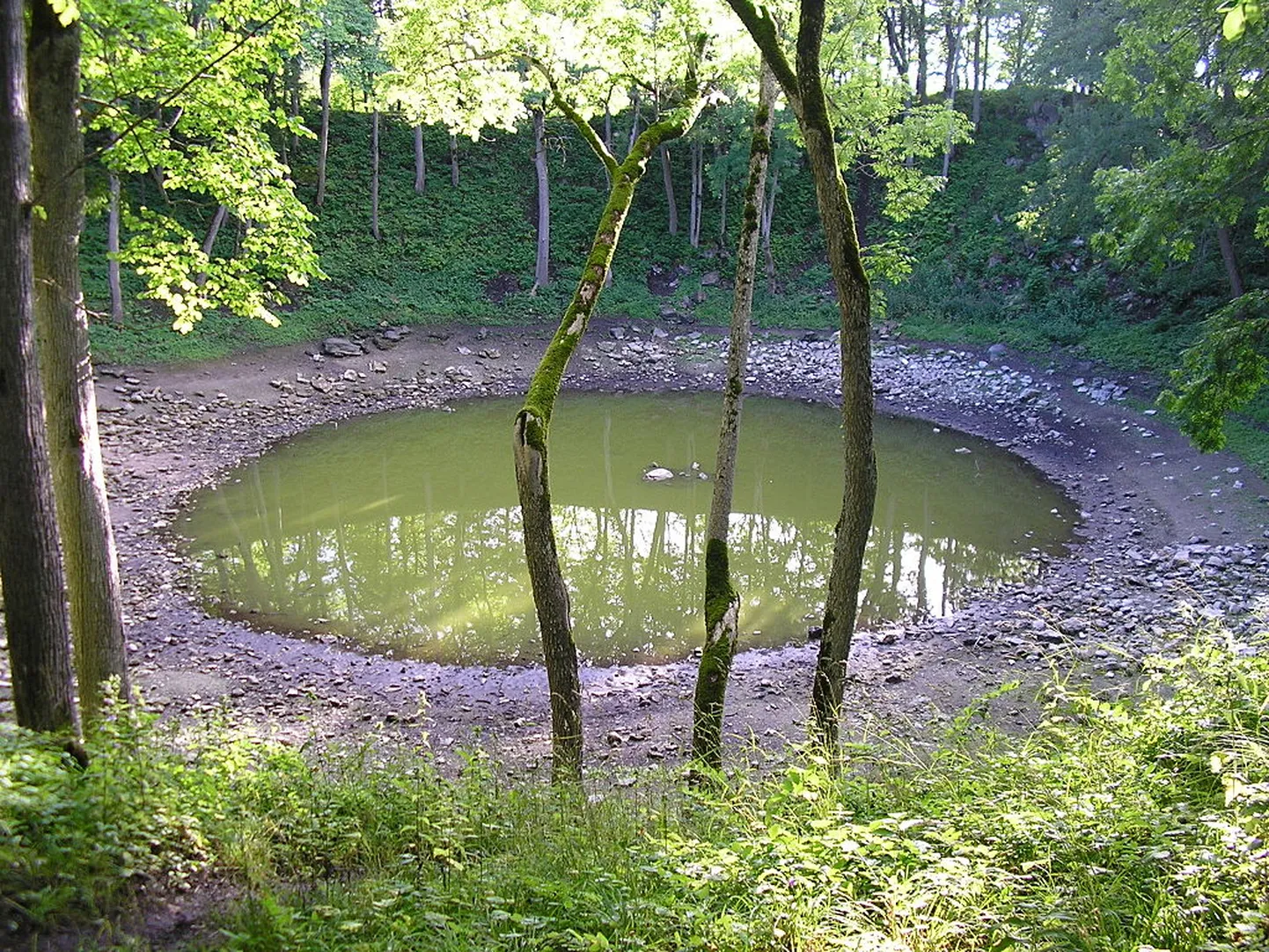 Raksta foto