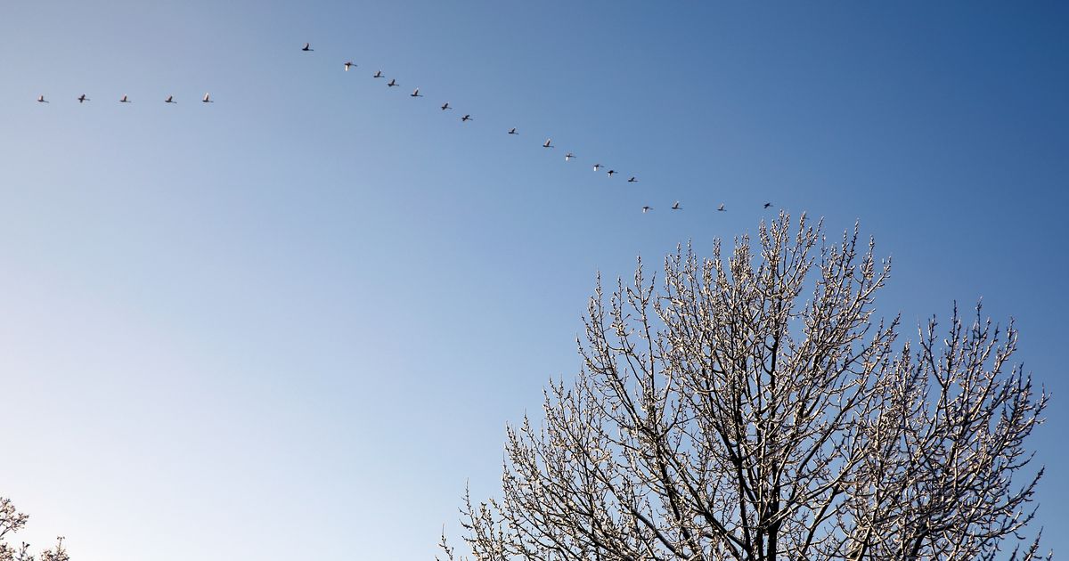 Wind comes. Прохладный воздушный ветер. Съемка во время солнечной погода.