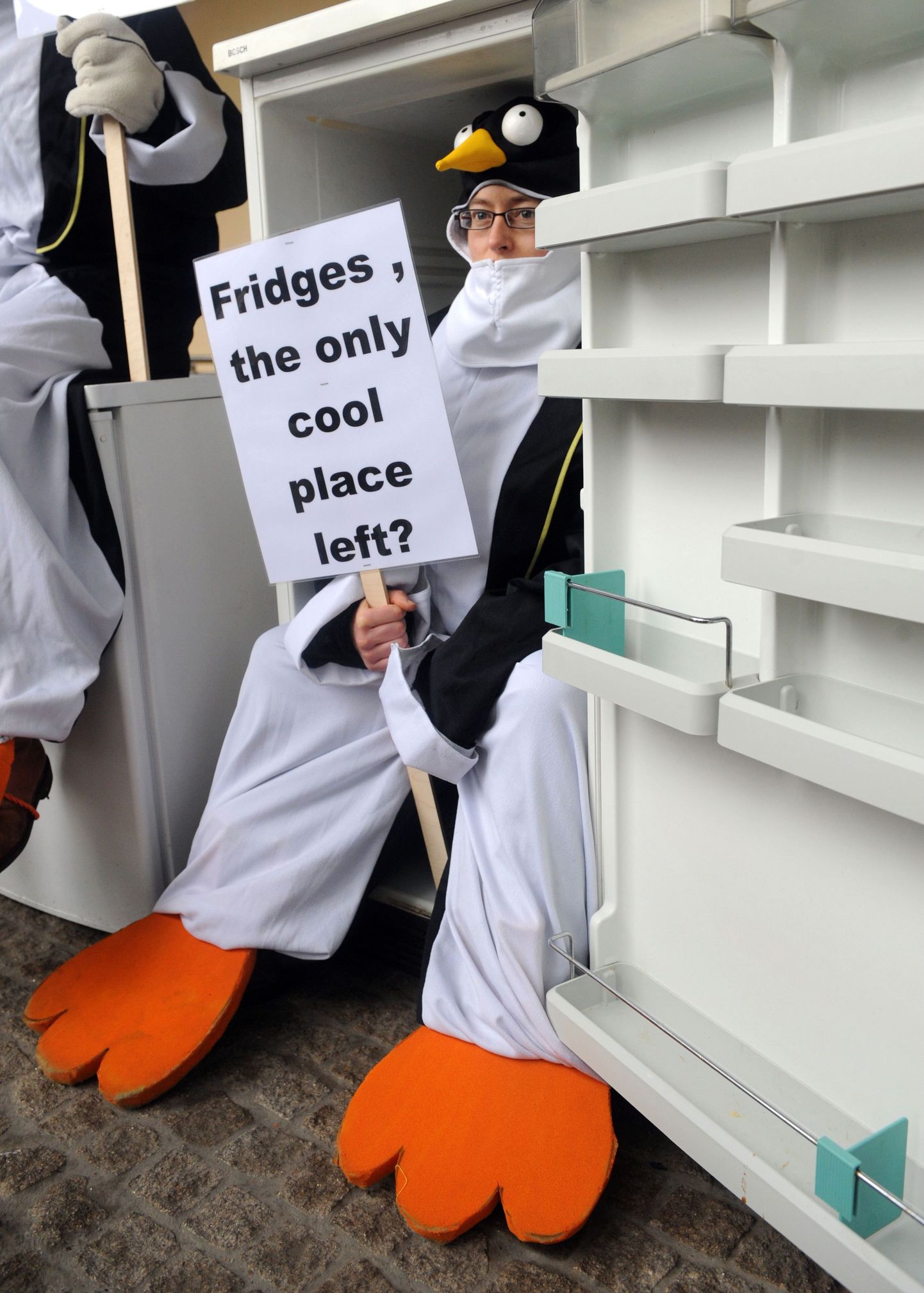 Pingviin loosungiga «Külmikud, kas tõesti ainus allesjäänud külm koht?»
