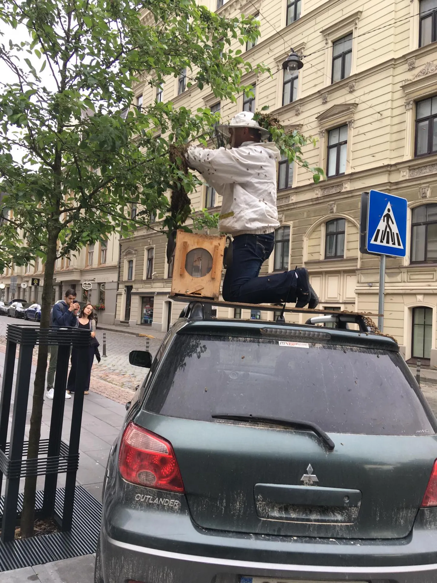 Фото статьи