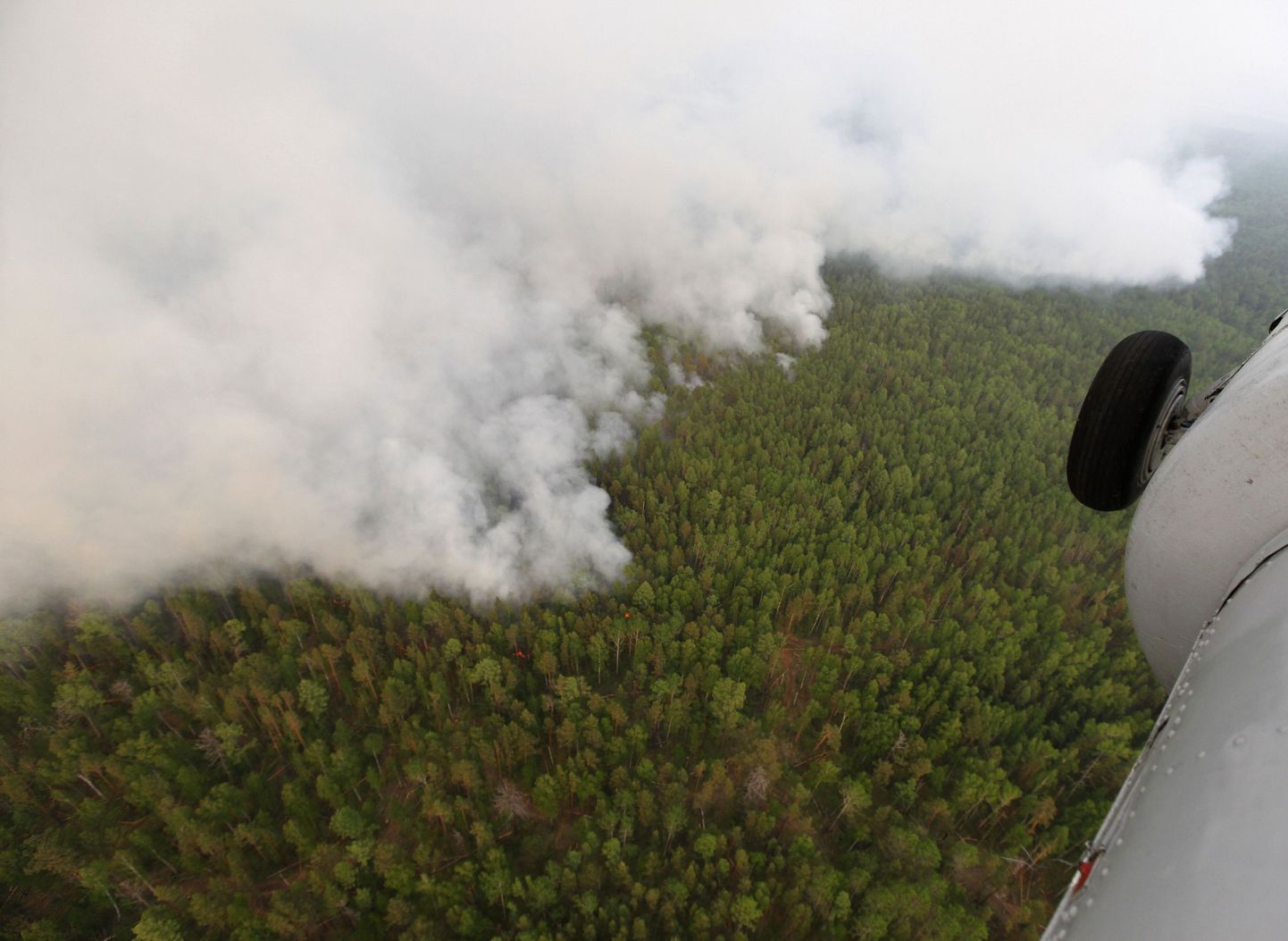 Leegid ja suits taigas Bogutšanõ küla lähistel, mis jääb 560 km Krasnojarskist kirdesse.