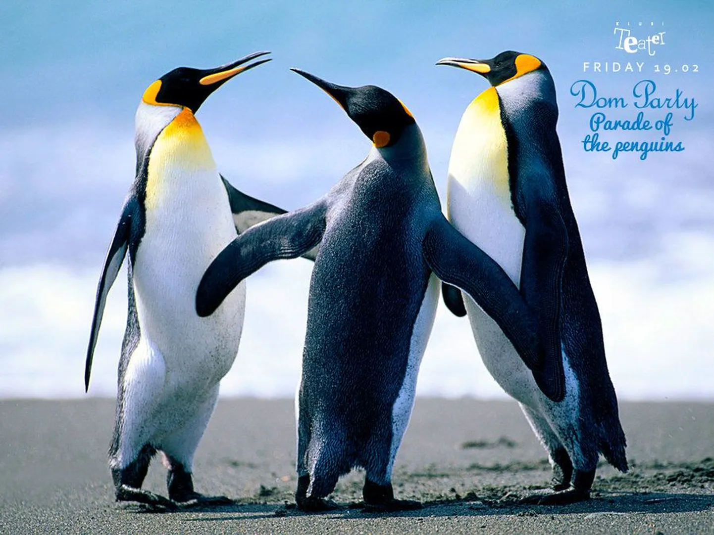 Dom party kostitab sel aastal pingviinide paraadi!