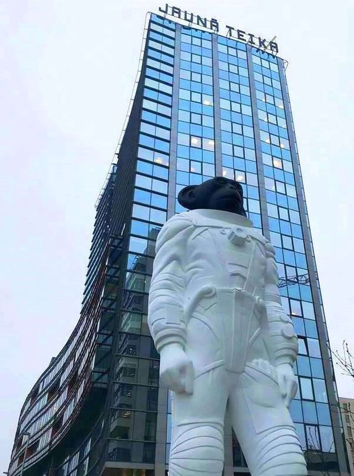 Фото статьи