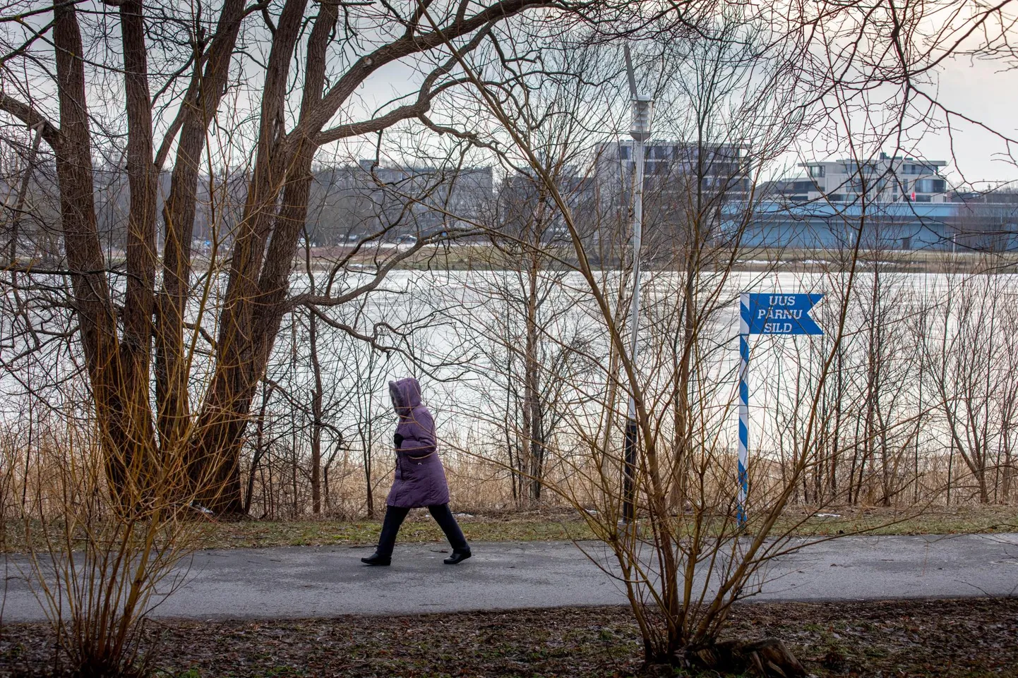 Pärnu kolmas sild plaanitakse rajada üle jõe Raba ja Aia tänava vahele.