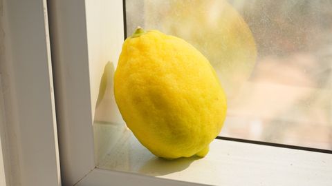 Miks tuleks suvel asetada avatud akna juurde sidrun?