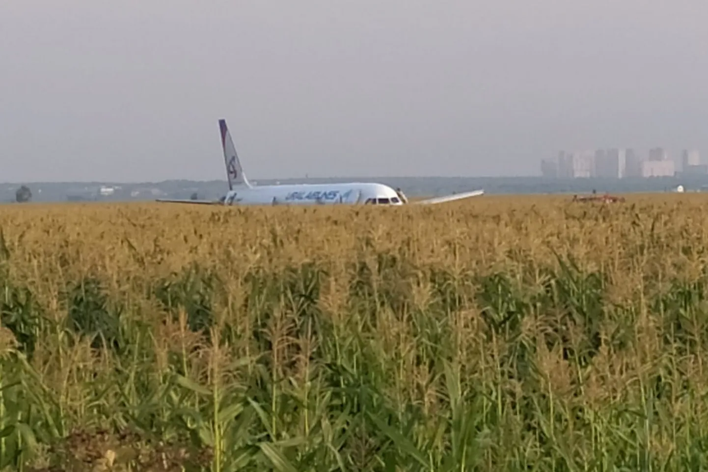 Совершивший аварийную посадку самолет.