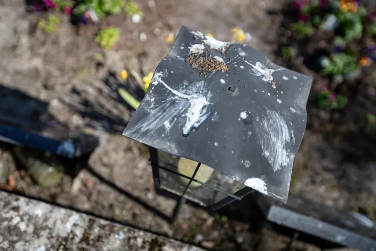 Ümberringi on kõik tihedalt täis lastud: kalmud, kivid, pingid, laternad.