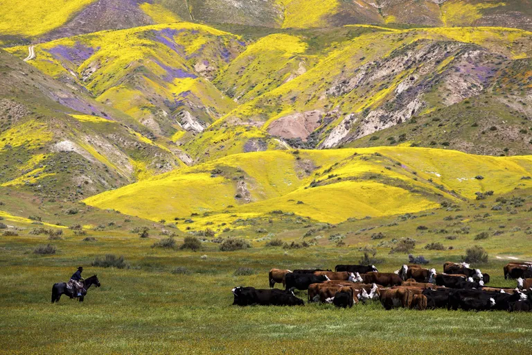 San Luis Obispo, California