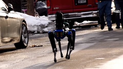 New Yorgi politsei robotkoera nimetati rassistlikuks