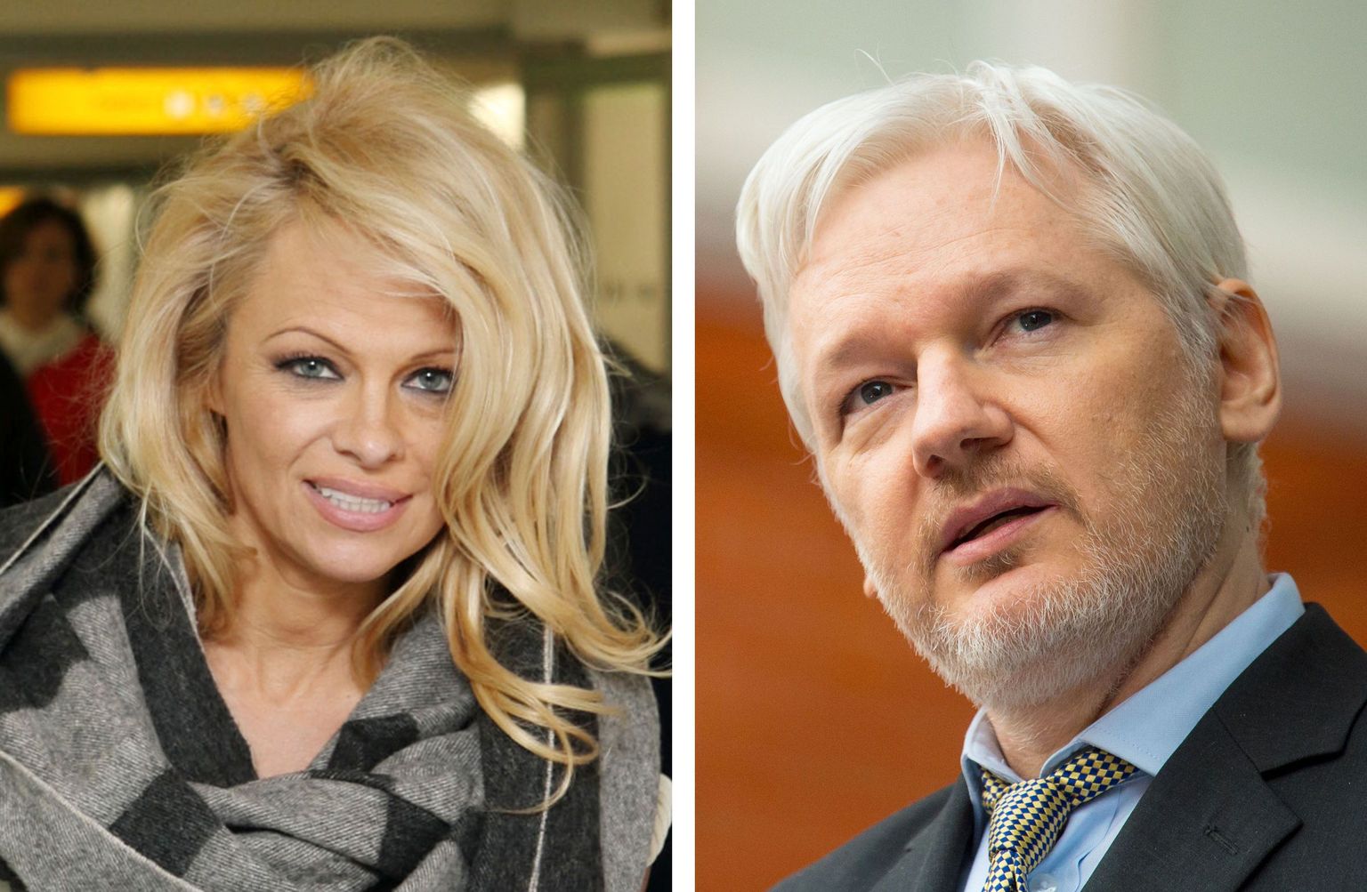 Pamela Anderson ja Julian Assange