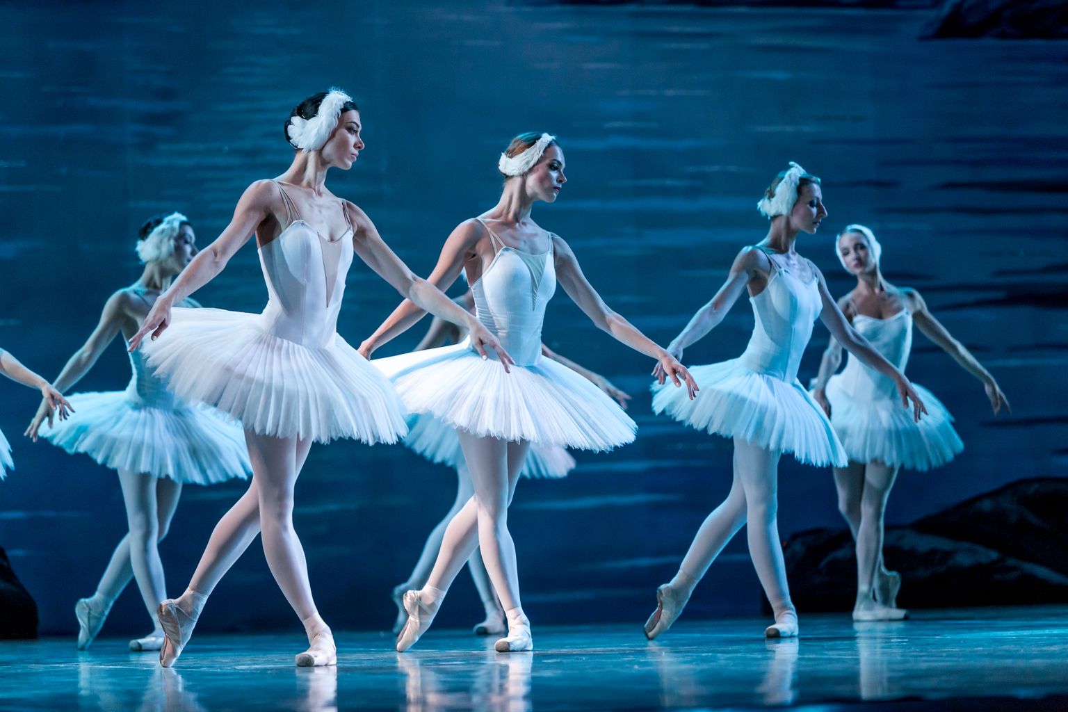 Сцена из балета "Лебединое озеро". Иллюстративное фото