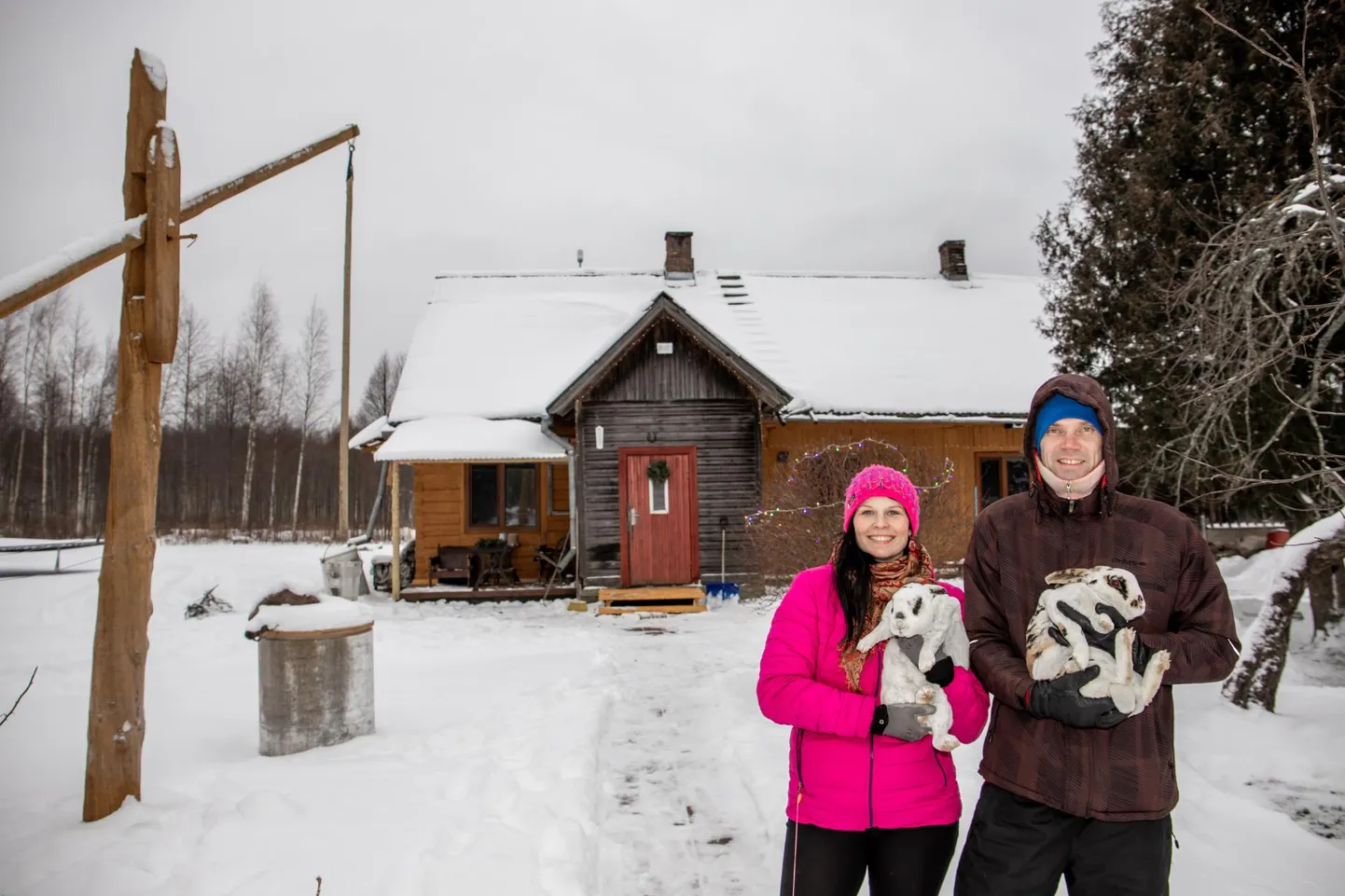 “Esimese jänese sain Sindist vanaemalt, kelle lapselast see loom enam ei huvitanud,” räägib Tammiku talu perenaine Birgit Ojamets, kelle abikaasa Aldo Ojamets hoiab süles sametise kasukaga lontkõrva.