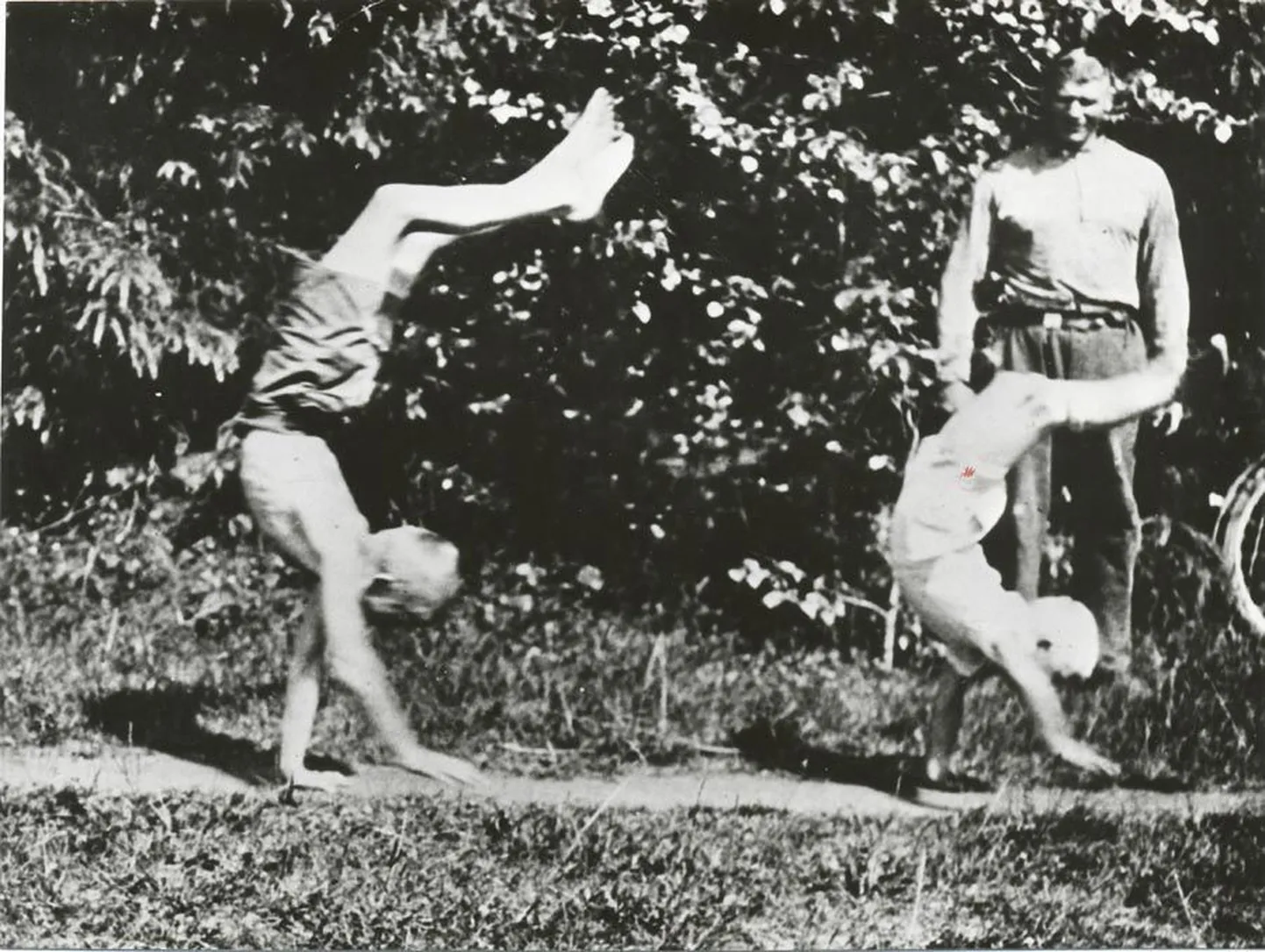 1925. aastast pärineval ülesvõttel jälgib Martin Klein, kuidas tema pojad maadlustrennis kätelkõndi harjutavad.