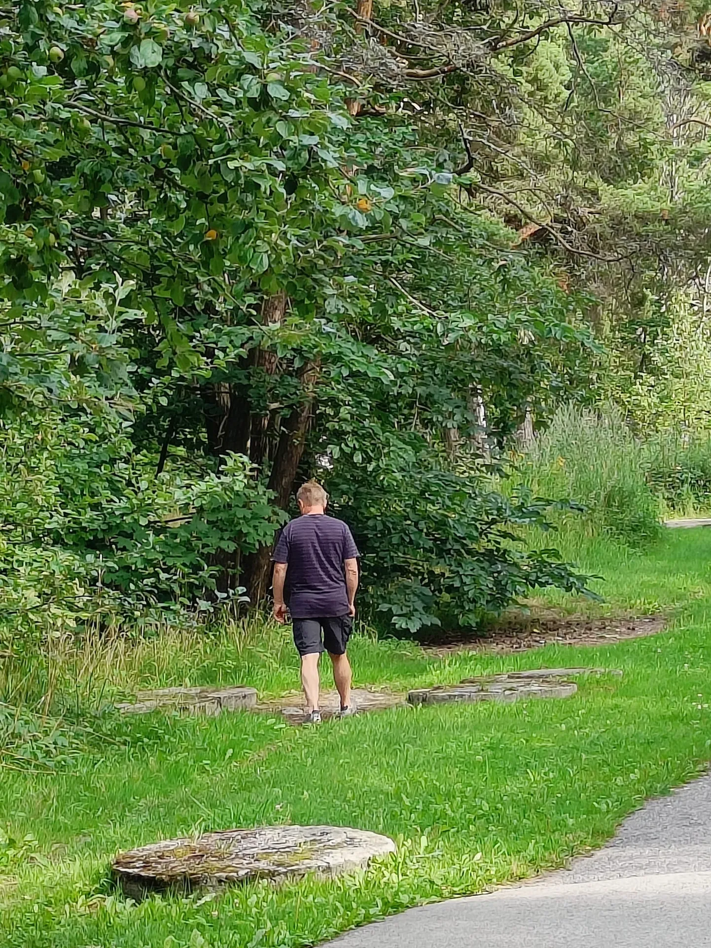 Merimetsa teel liiklev liputaja