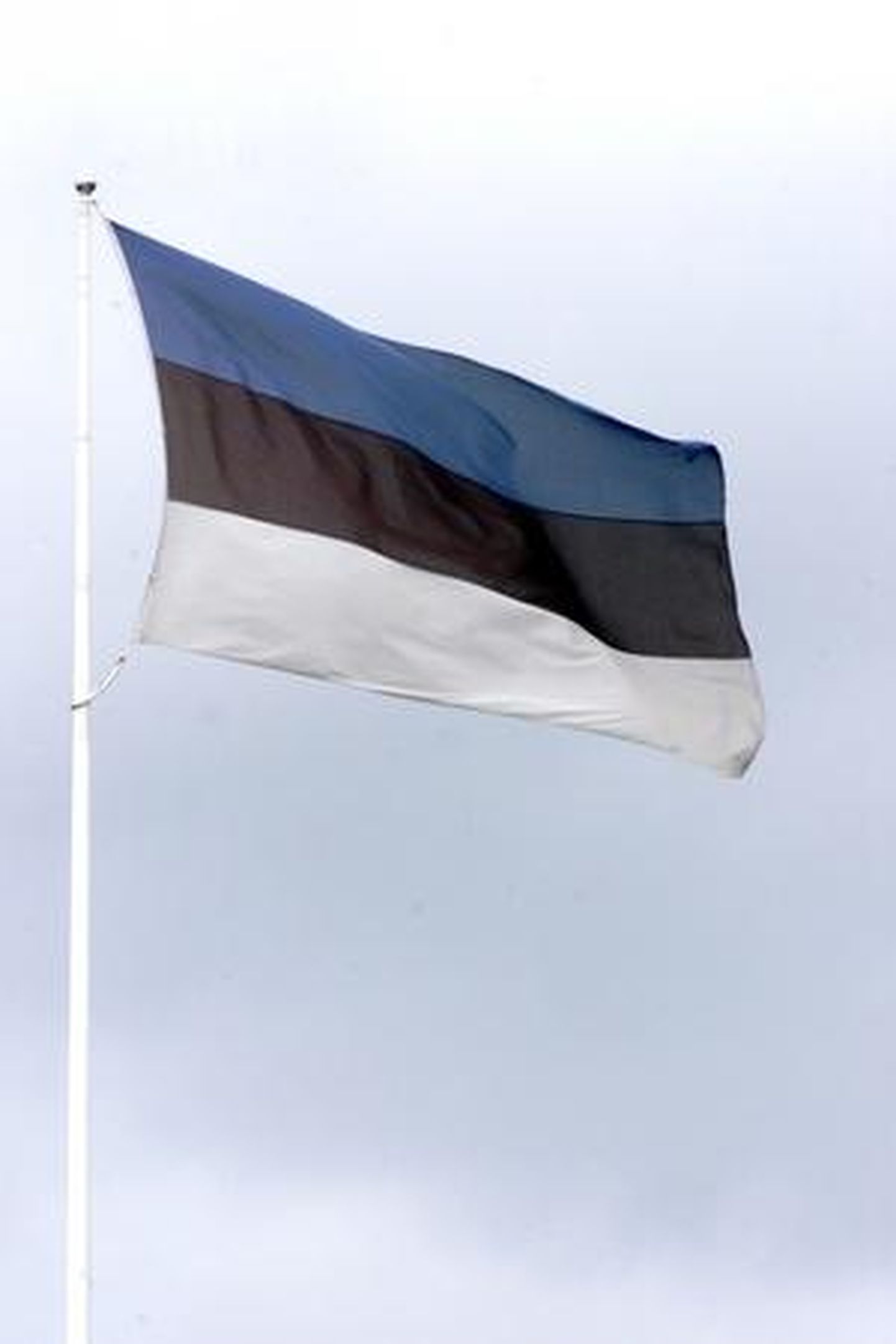 20. augustil lehvivad rahvuslipud Eesti Vabariigi taasiseseisvumise auks. 
