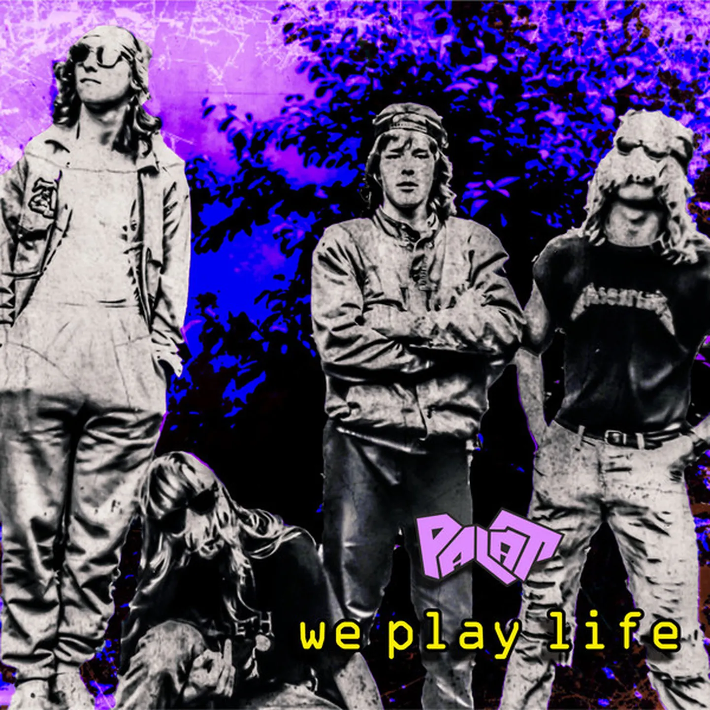 Palat, «We Play Life».