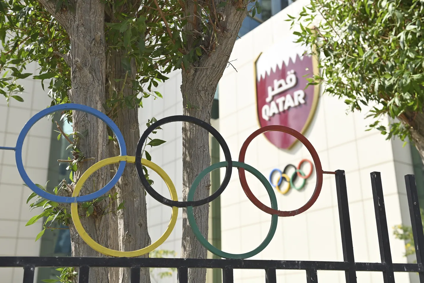 Катарский олимпийский комитет.