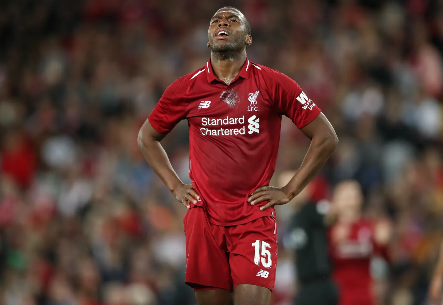 Endise Liverpooli jalgpallitähe Danile Sturridge`i jaoks on hooaeg lõppenud.