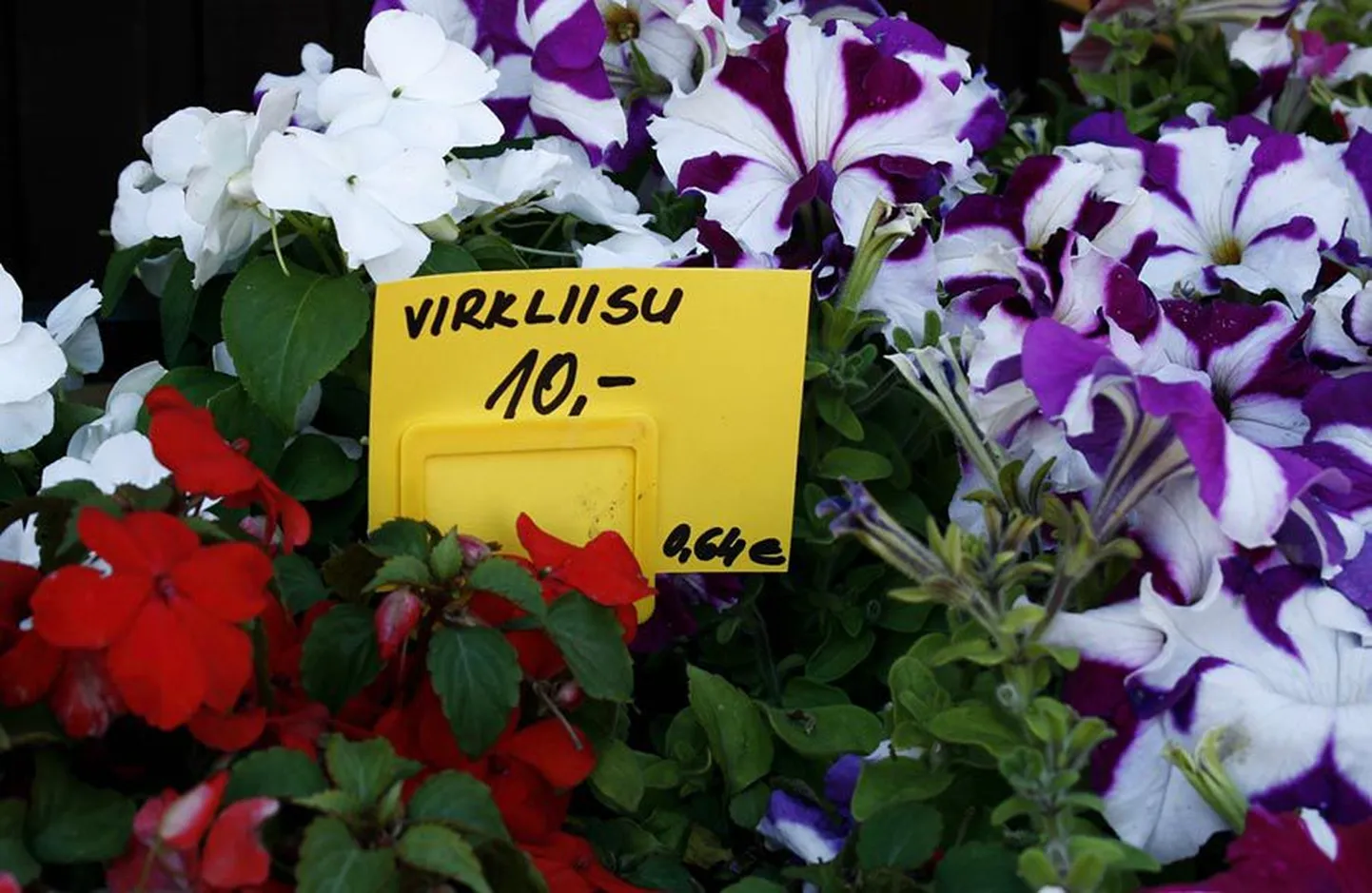 Selle lille hind on arvutatud ja ümardatud õigesti. 10 krooni eest müüdav kaup maksaks eurodes 0,639 senti. Ümardades tuleb jälgida kolmandat numbrit. Et kõnealusel juhul on see 5-st suurem ehk 9, tuleb hind ümardada 64 eurosendile.