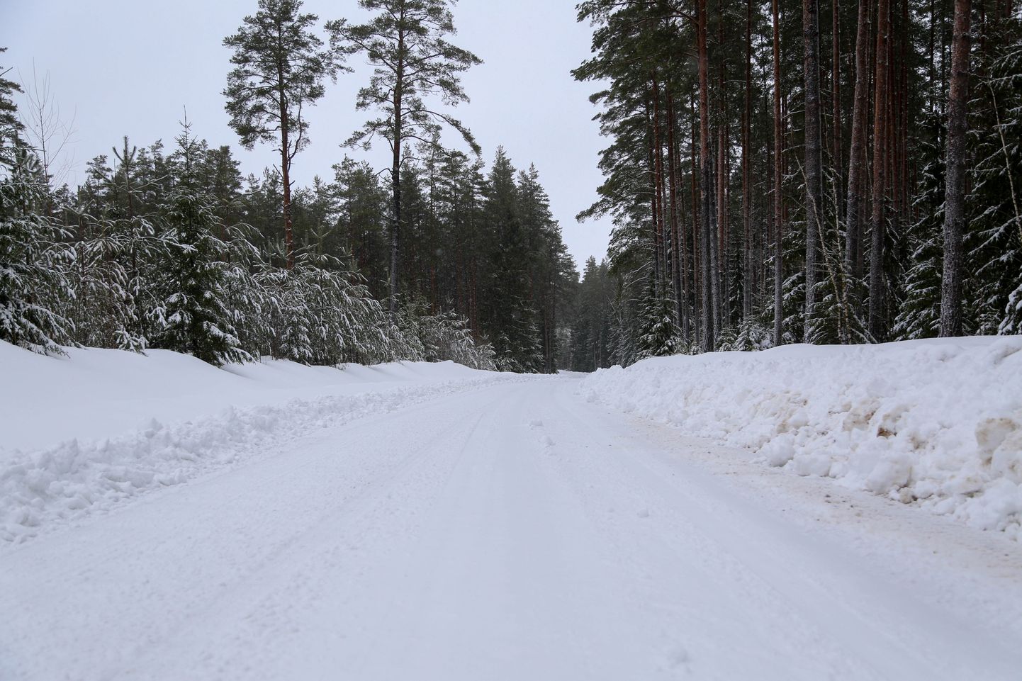 Teeolud 30. jaanuaril pärast lumetormi.