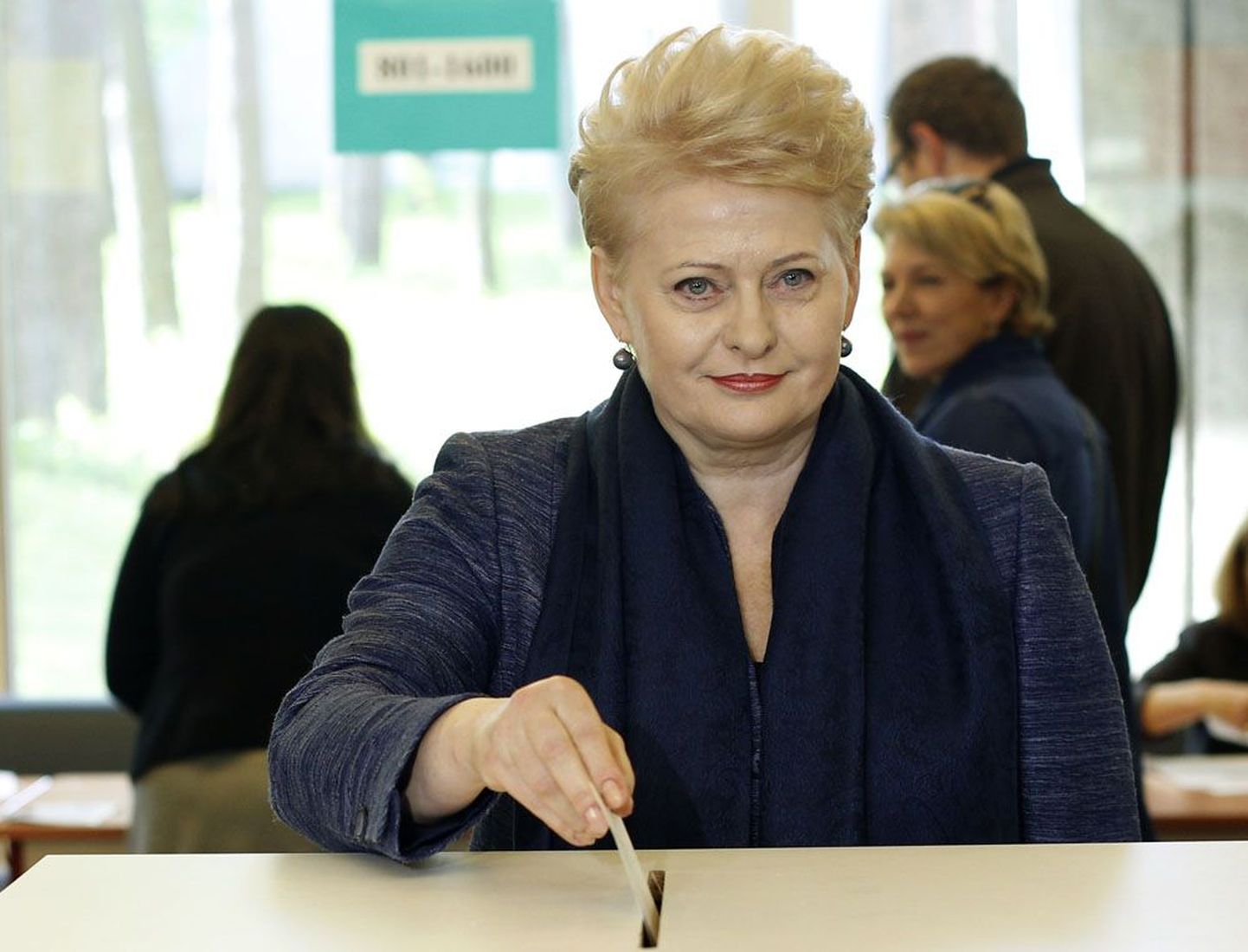 President Dalia Grybauskaitė valimas.