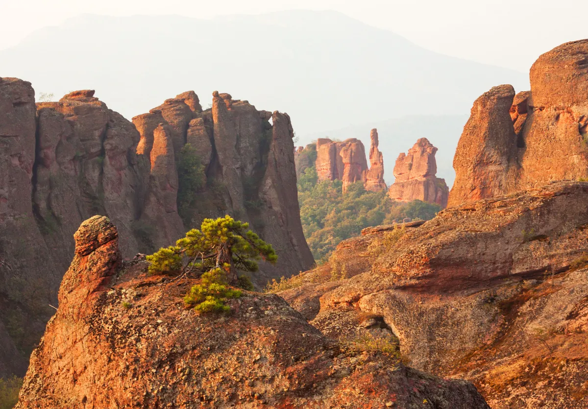 Belogradchik