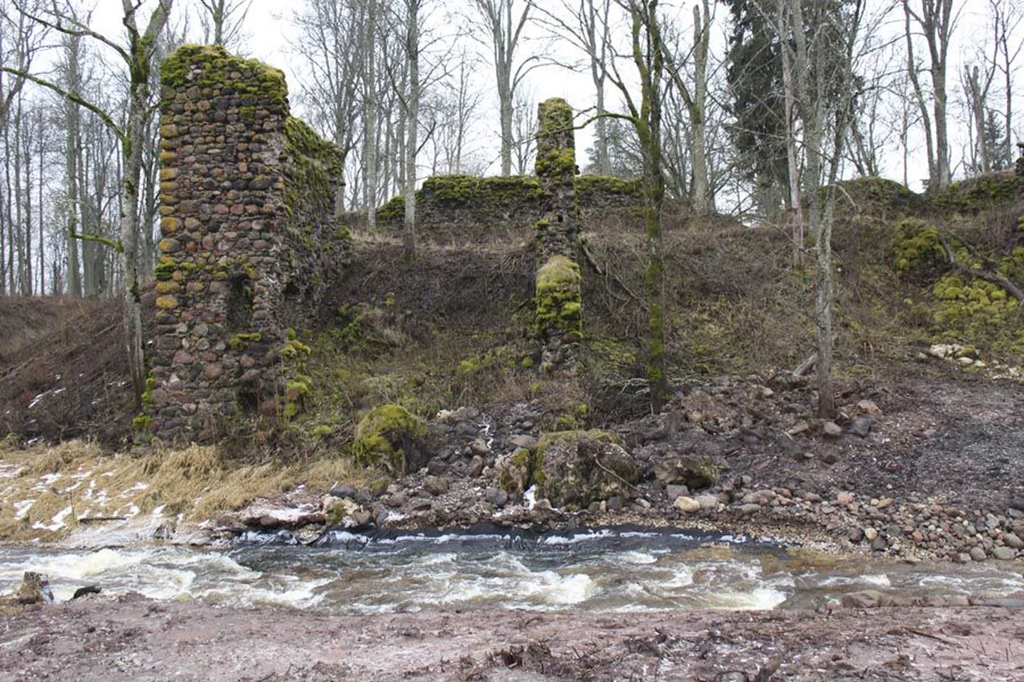 Tarvastu ordulinnuse arvatav väravatorn asub mõned meetrid ülalpool seda kalakärestiku lõiku, millelt tulvavesi uhtus kaldakivid ja paljastas erosiooni kaitseks pandud musta geotekstiili.