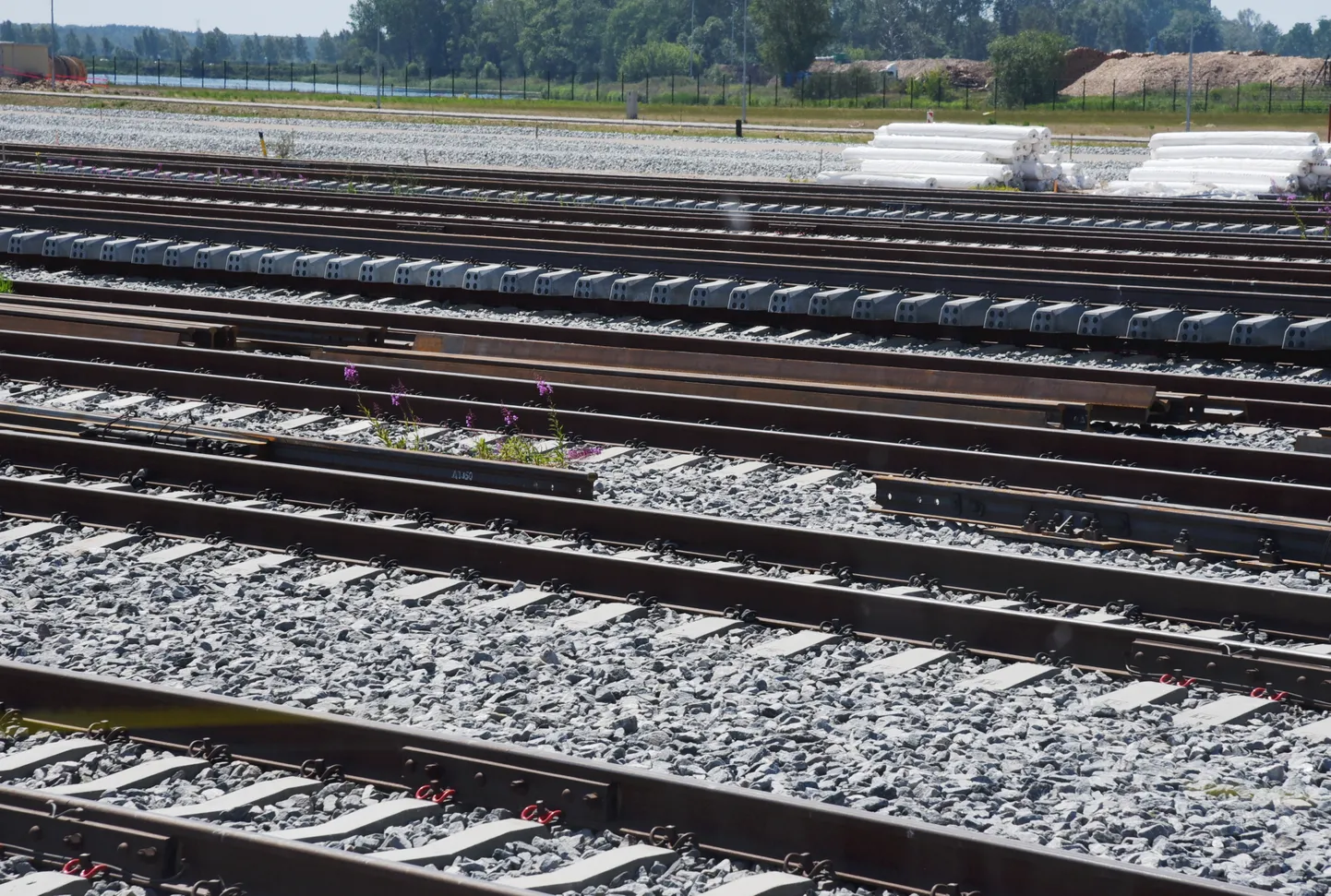 Ilustratīvs foto.