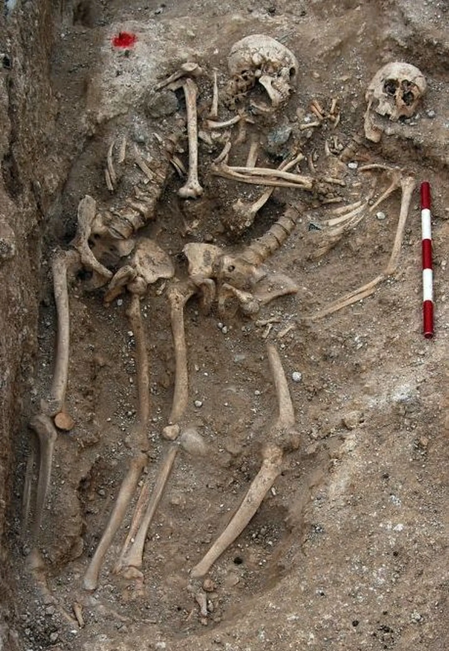 Arheoloogid leidsid kallistavate relvavendade jäänused