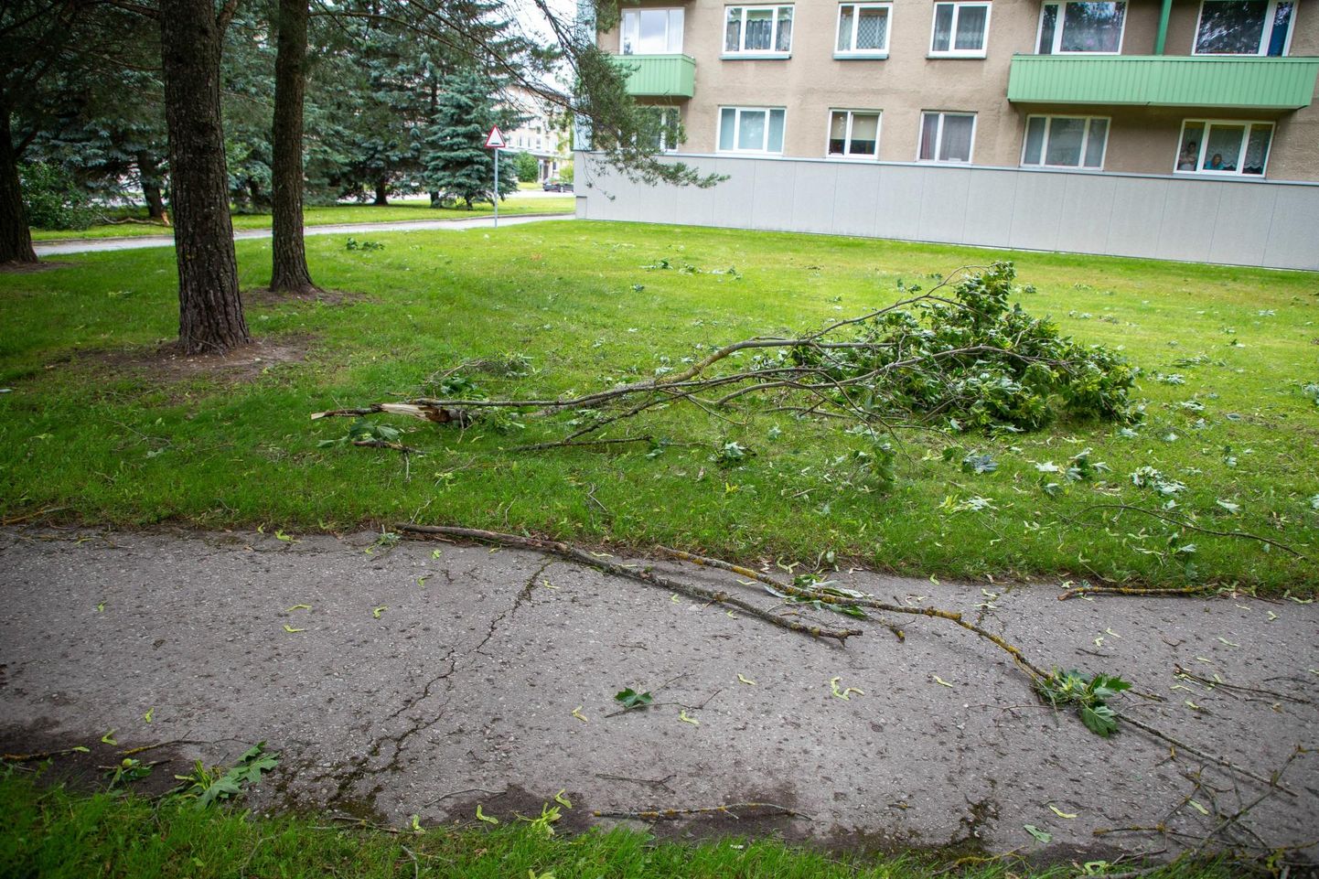 Tugev tuul on mitmel pool Eestis põhjustanud elektrikatkestusi. Foto on illustratiivne. 
