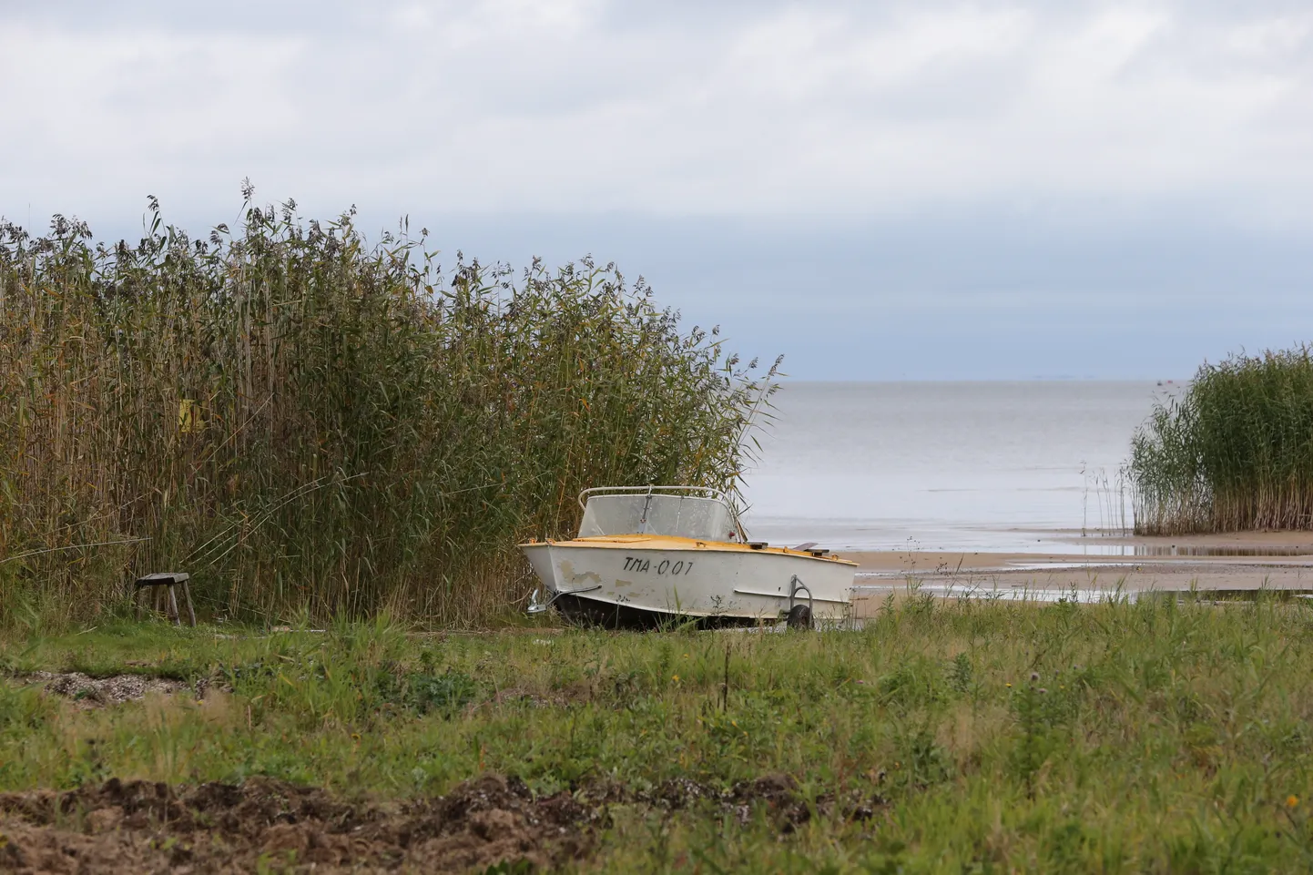 Peipsi järv.