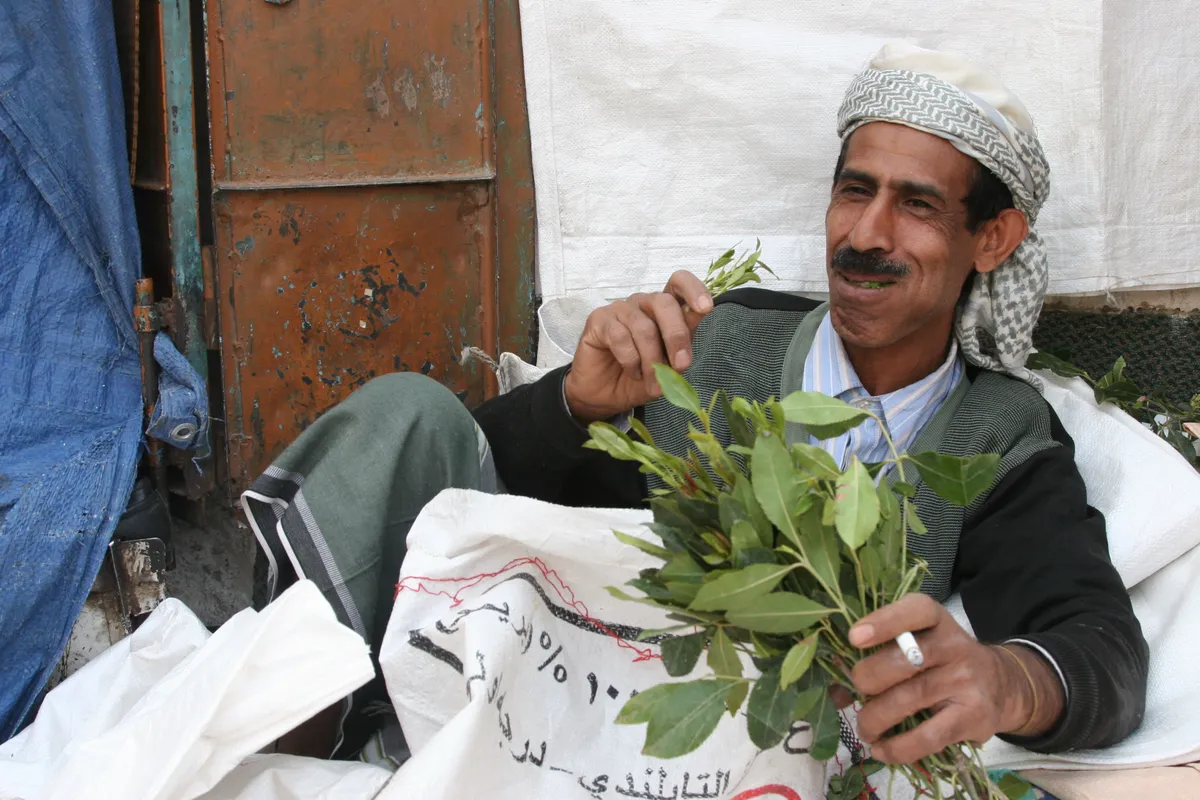 Jeemeni mees nautimas khati ehk katapõõsa lehti, Sana'a 2009. aasta