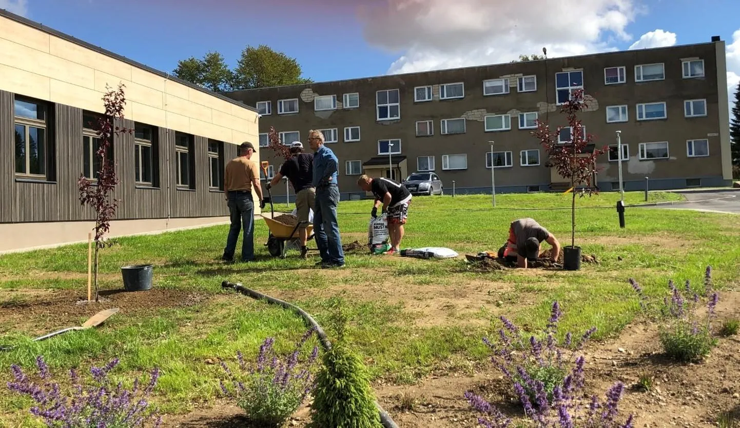 Kadrina tervisekeskuse ette istutavad vabatahtlikud puid.