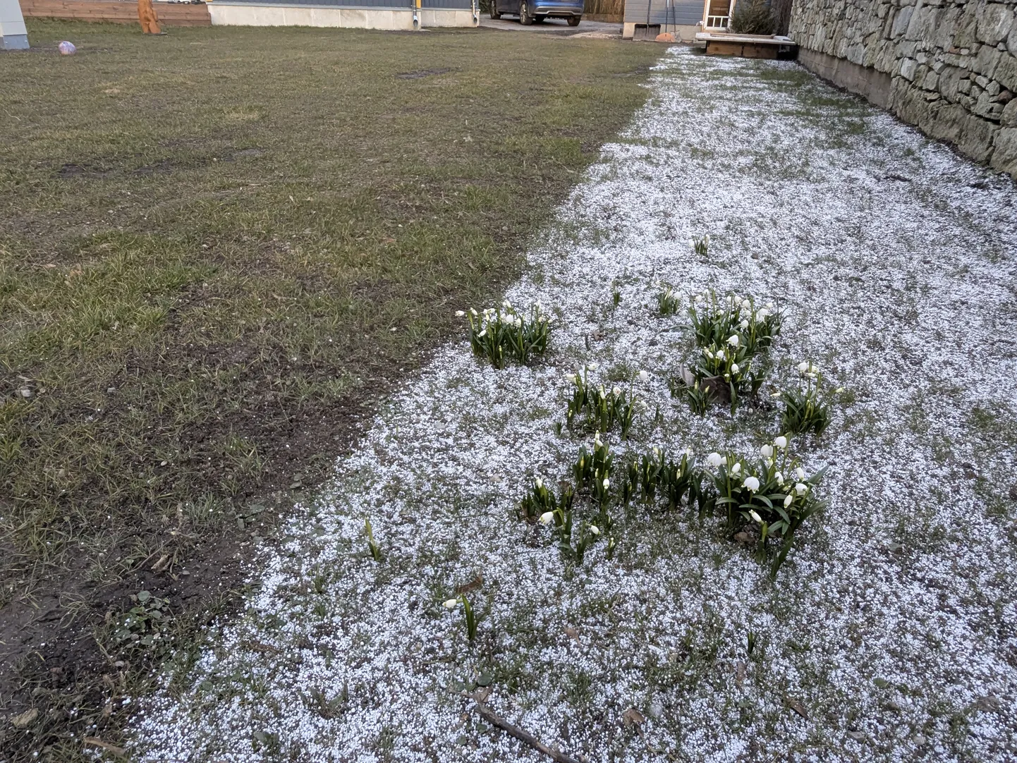 Artikli foto