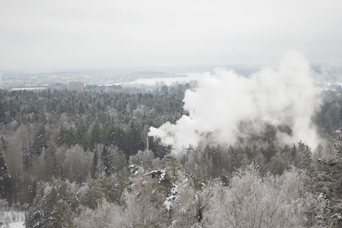 Foto: Ziemas sals Latvijas ārēs