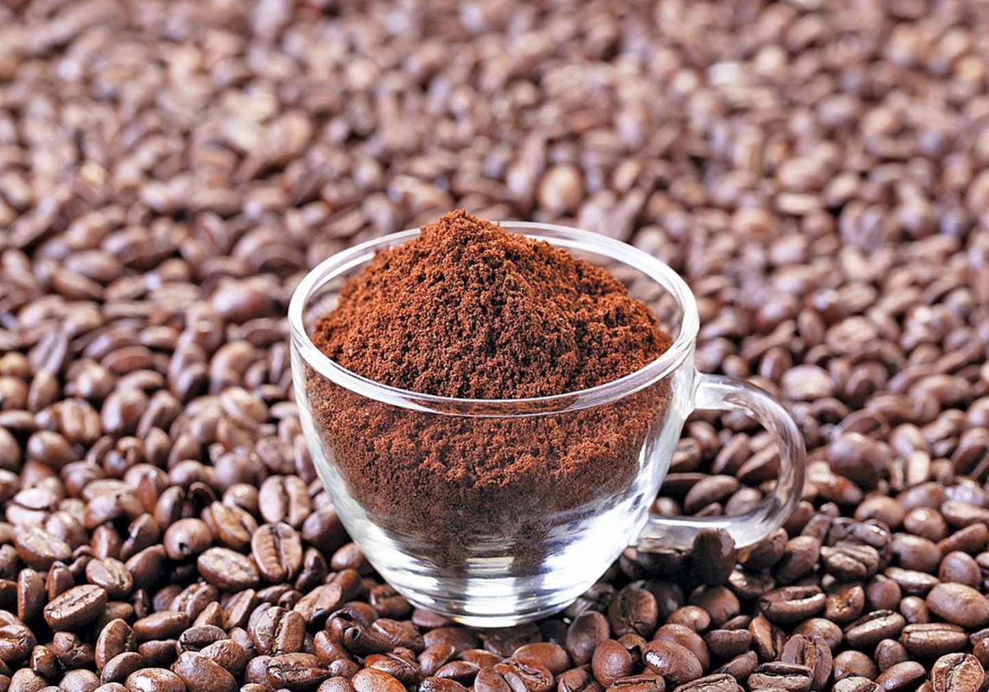 Кофейную гущу можно использовать не только в качестве скраба для тела, из нее получается отличное удобрение для растений. А вот чистить водосточные трубы гущей не стоит.