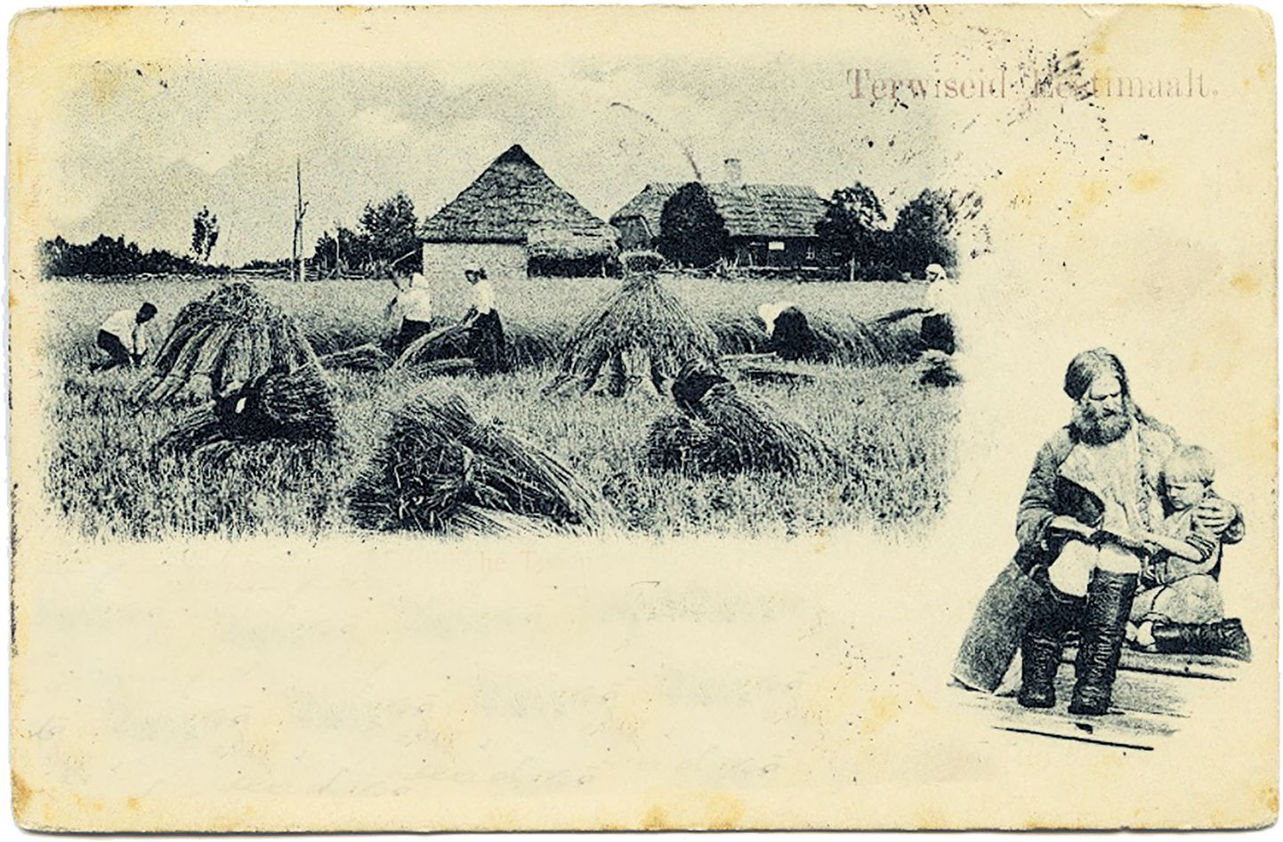 RUKKI HAKKIDESSE PANEK: Fotopostkaart 1900ndate algusest, seeriast "Estnische typen" ehk Eesti inimesed.