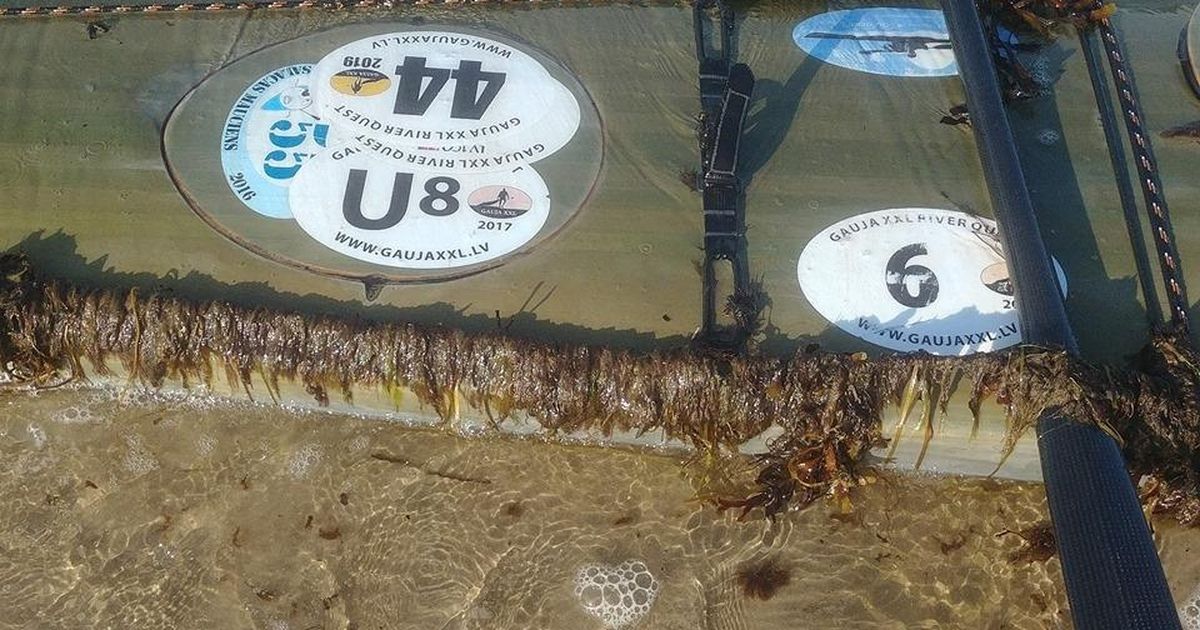 Liivi lahes kadunud lätlase kajak on leitud