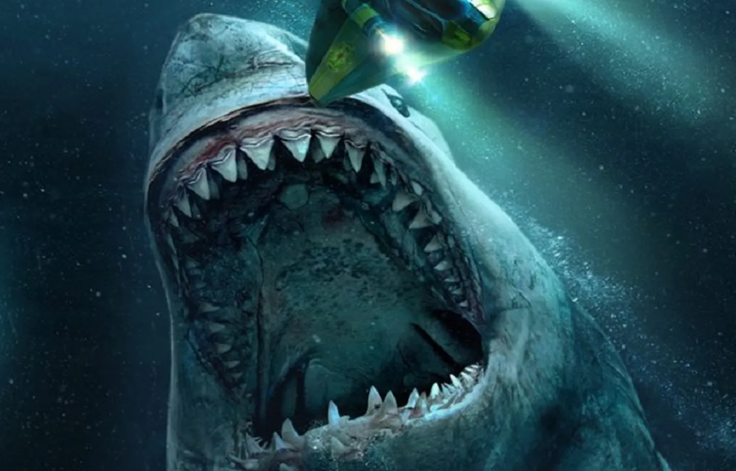 MEG