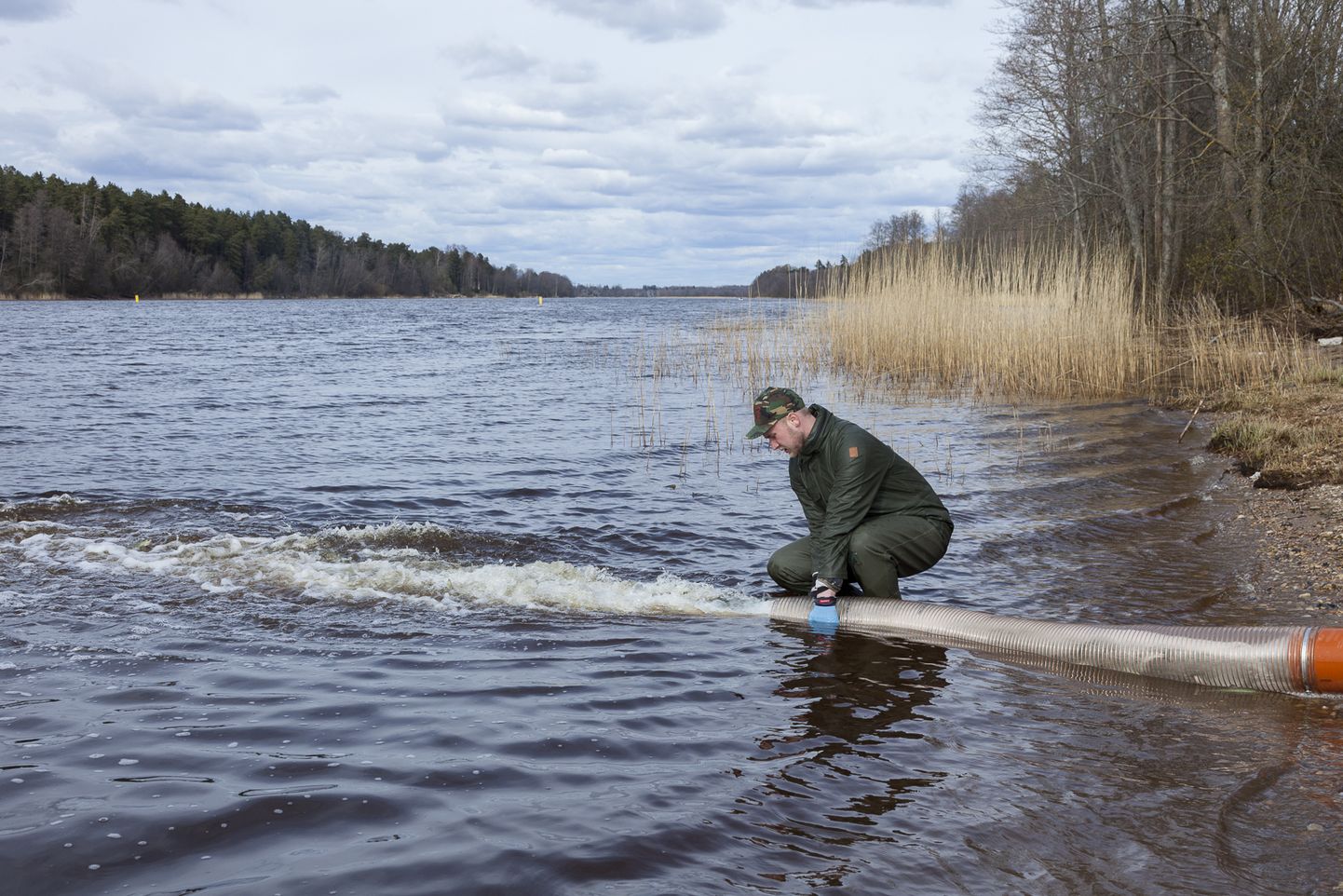 Toru abil pääsevad noorkalad kalaveokonteinerist Pärnu jõkke, et taastada sealne lõhe asurkond.