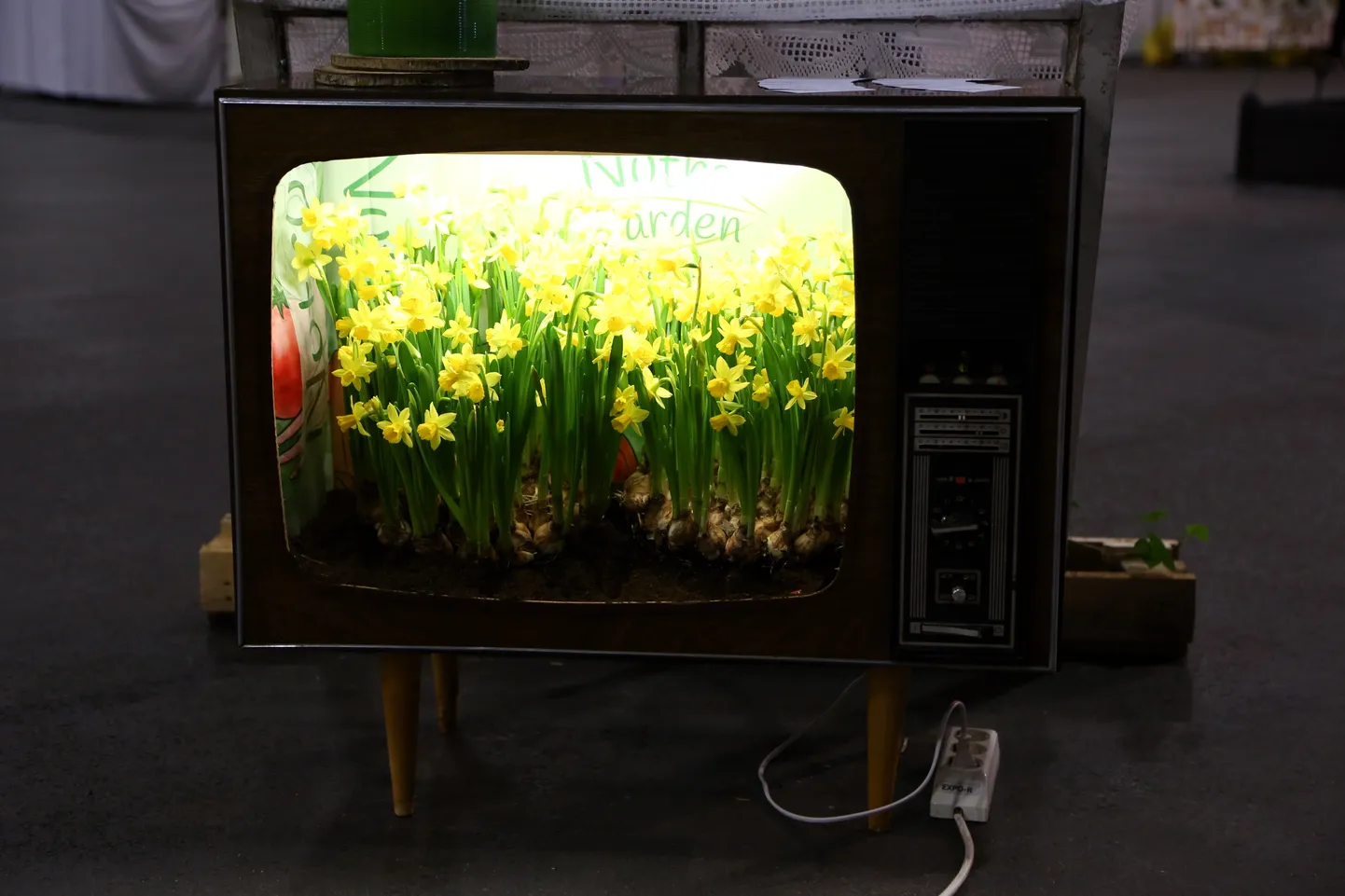 Gadskārtējās mežsaimniecības, lauksaimniecības un dārza izstādes "Mežs un koks", ''Riga agro" un "Dārzs. Flora", kuras apvieno nosaukums "Nature Expo 2016", Starptautiskajā izstāžu centrā Ķīpsalā. Ilustratīvs attēls.
