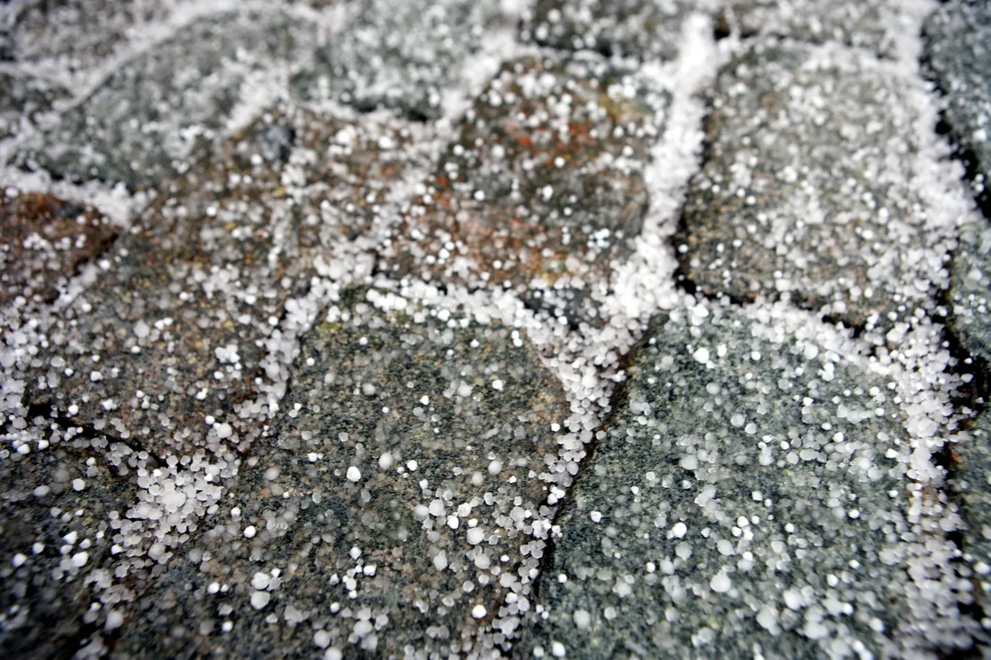 Фото статьи