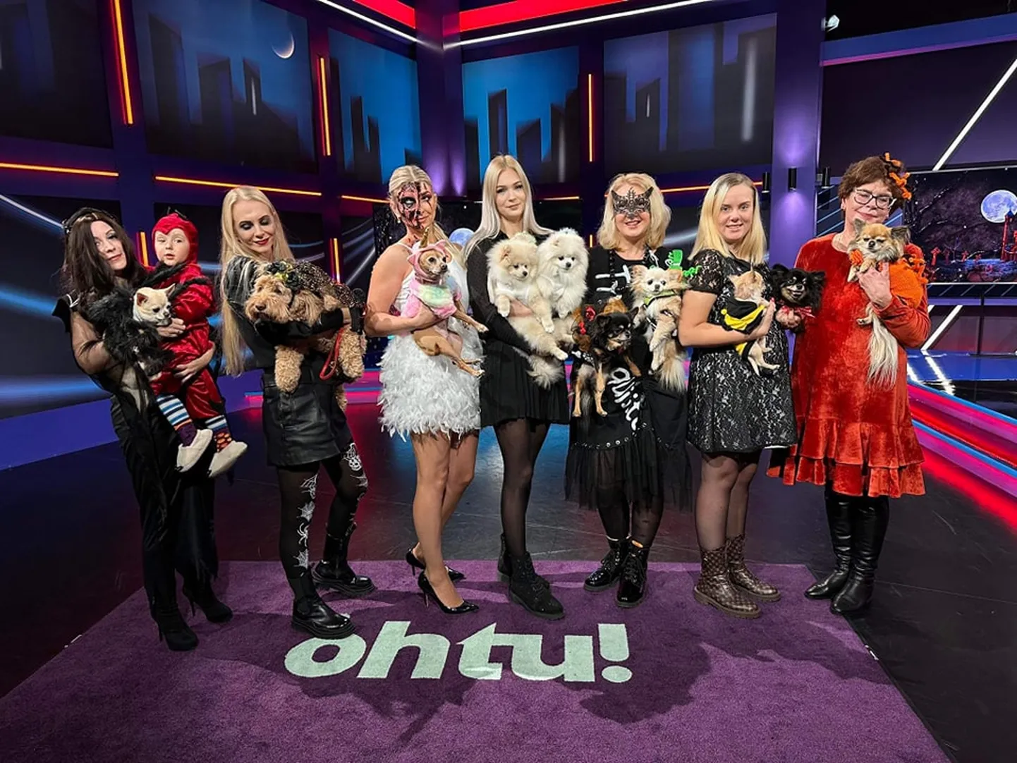 Koerad "Õhtu!" saates Halloweeni tähistamas