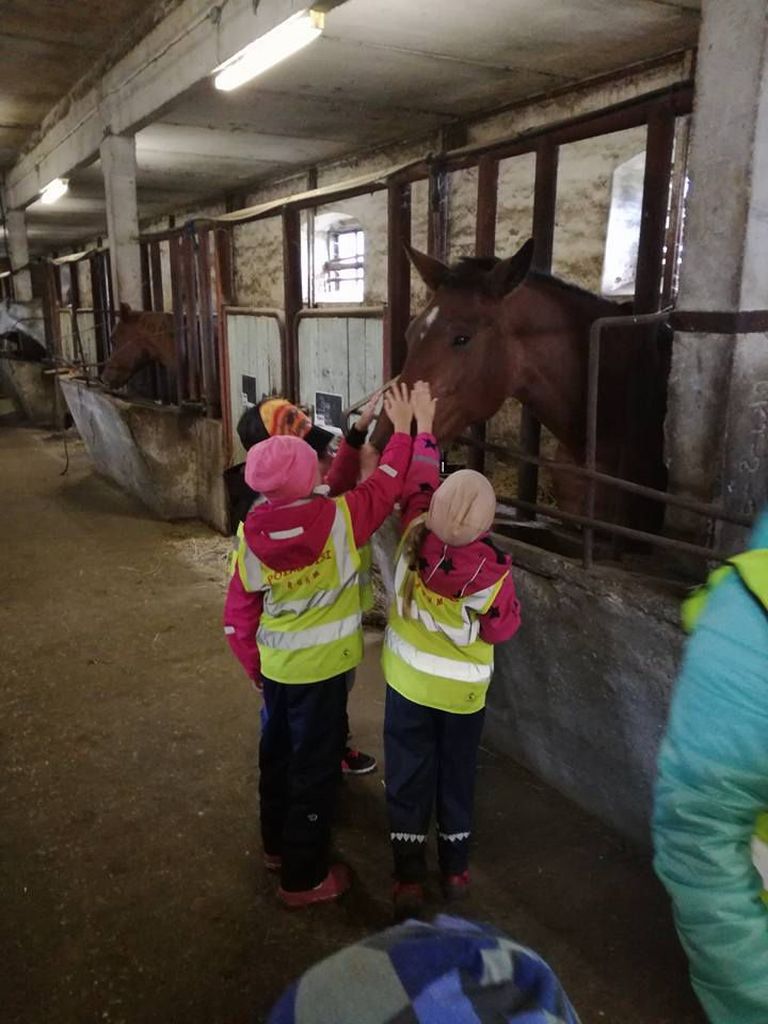 Tammsaare lasteaia lapsed Tori hobusekasvanduses.
