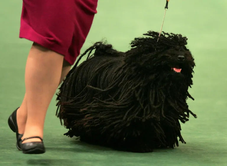Seth Wenig/AP/Scanpix
