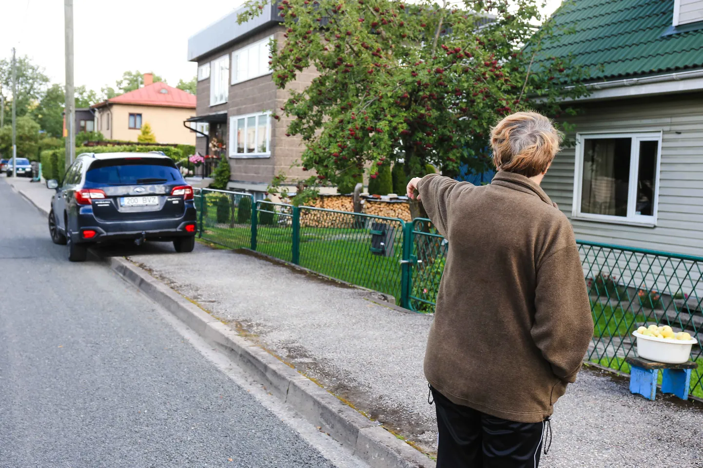 Tammekuru tänavas elava Tiiu Ritsbergi tütar sai ema maja ees parkides trahvi, sest ei jätnud jalakäijale pooleteist meetrit vaba ruumi liikumiseks. Asjaolu teeb eriskummaliseks asjaolu, et kõnnitee on Tammekuru tänaval vaid kolmel majal, mille omanikud on need kunagi ammu ise ehitanud. Naabritel, kel kõnniteid pole, on parkimisvõimalused hoopis vabamad.