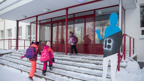 Министерство подрезает крылья эстоноязычному образованию в Ида-Вирумаа