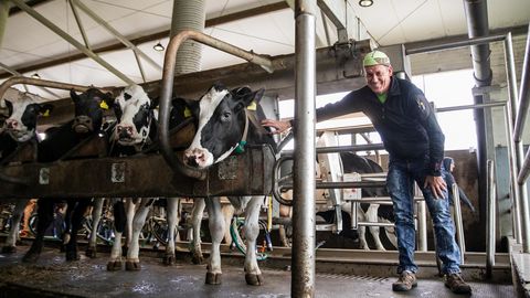 Investeerimishiid omandab enamusosaluse Pärnumaa suurimas piimafarmis