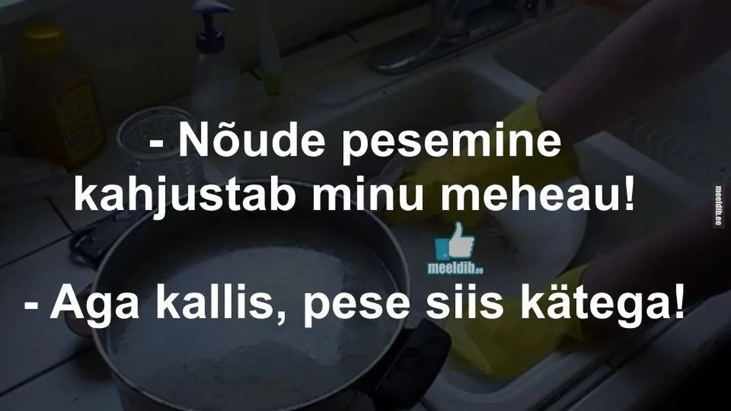 Artikli foto